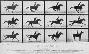 muybridge_galloping_horse__1878